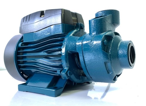 [1000324] ปั๊มหอยโข่ง ทรงหน้าหมู 0.5HP 1" QB60-L KAWA