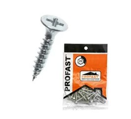 [1003425] สกรูปลายแหลม 6X3/4 นิ้ว PROFAST